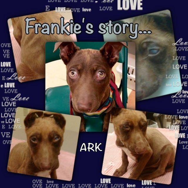 Frankie w/SB (ARK #2383)